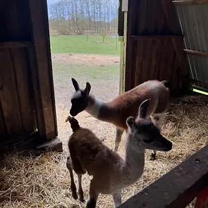 Séjour à la ferme Farm